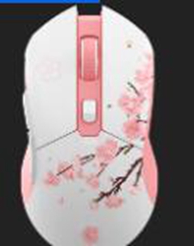 达尔优EM901X AIM WL鼠标