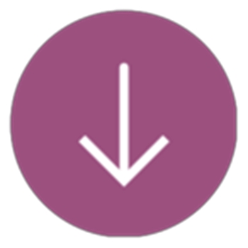 2017百度云不限速下载工具(dpdownload) v1.1绿色版