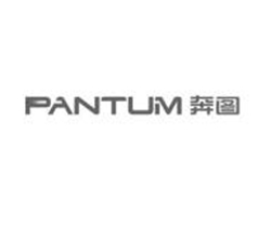 奔图Pantum P3355DN打印机