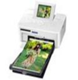 佳能Canon SELPHY CP810打印机