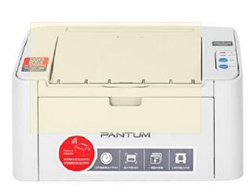 奔图Pantum P2206NW打印机