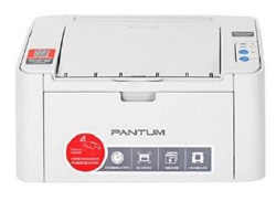 奔图Pantum P2206打印机