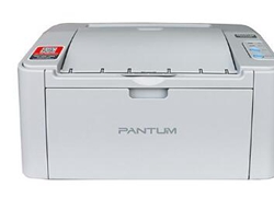 奔图Pantum P2508打印机