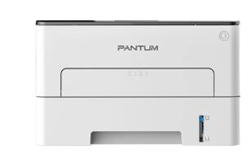 奔图Pantum P3020D打印机