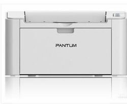 奔图Pantum P2507N打印机