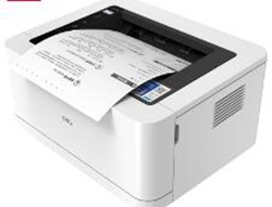 得力Deli P2005DW打印机