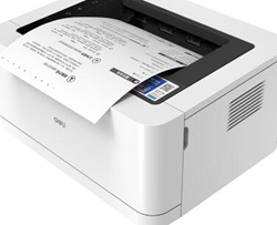 得力Deli P2005DNW打印机