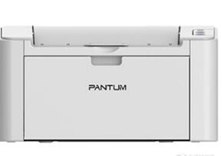 奔图Pantum S2000打印机