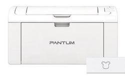 奔图Pantum P2215W（学习版）打印机