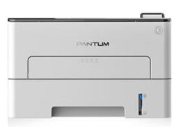 奔图Pantum P3019DW打印机