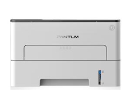 奔图Pantum P3019D打印机