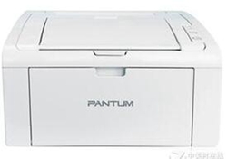 奔图Pantum P2506打印机