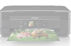 爱普生Epson Expression Home XP-322打印机