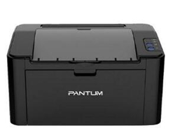 奔图Pantum P2509打印机