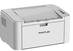 奔图Pantum P2505N打印机