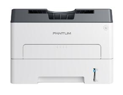奔图Pantum P3018D打印机