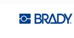 贝迪Brady BBP81打印机