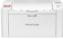 奔图Pantum P2206W（青春版）打印机