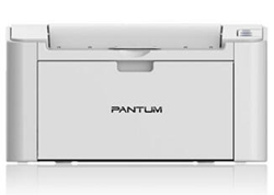 奔图Pantum P2511打印机