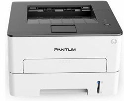 奔图Pantum P3022D打印机