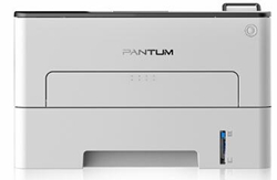 奔图Pantum P3022DWS打印机